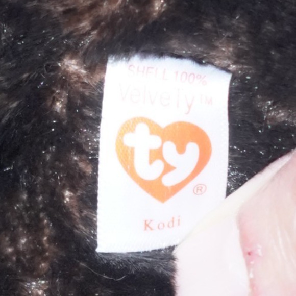 TY Medium Classic Plush KODI Kodiak Black Bear Medium 10" NEW Stuffed Animal Toy - Picture 6 of 16